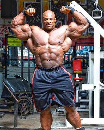 Bodybuilding